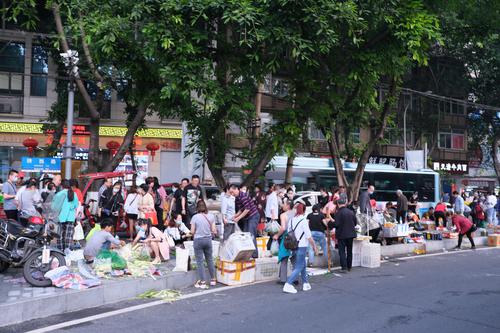 早市