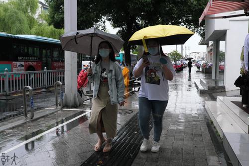 雨中