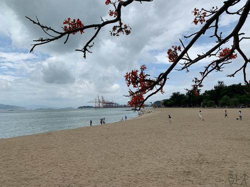 鹭岛