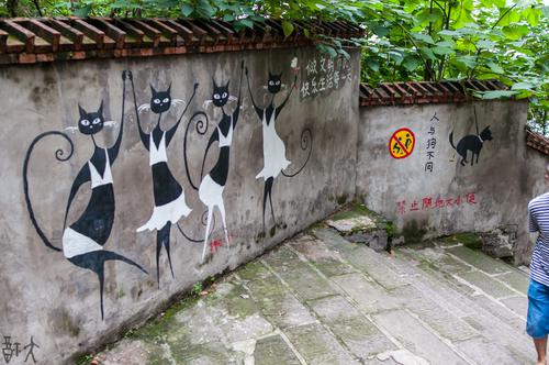 美女猫