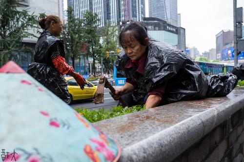 雨中工作的园艺工人