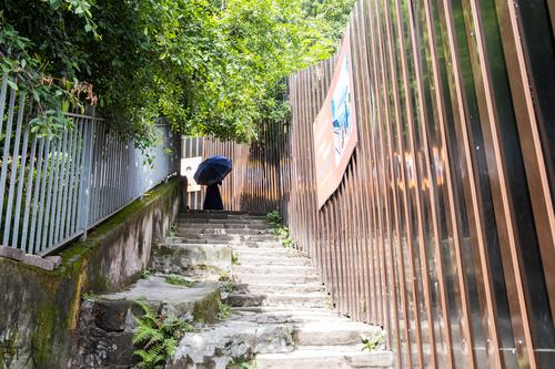 台阶小道