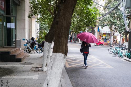 雨中
