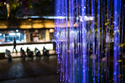 夜光