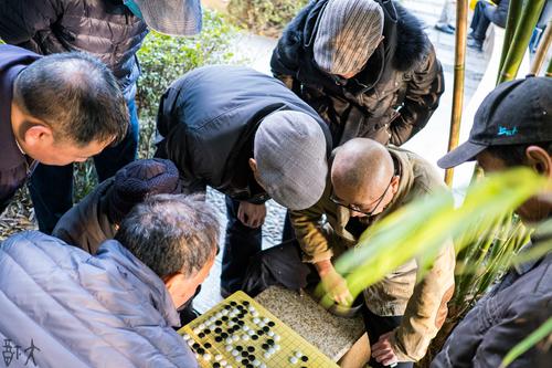 观棋