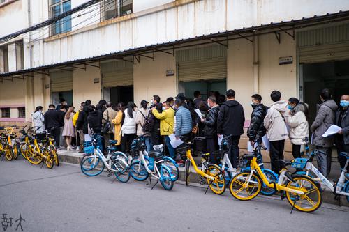 人车排队