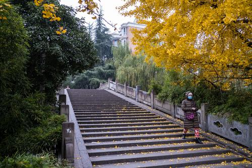 江南的冬天