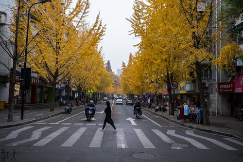 江南冬日街景