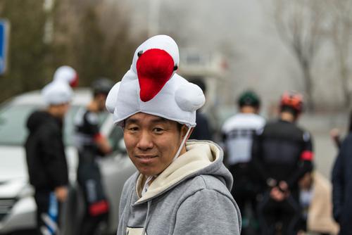 大鹅