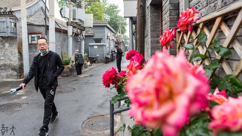 京城胡同小雨