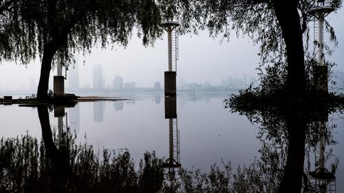江边晨雾
