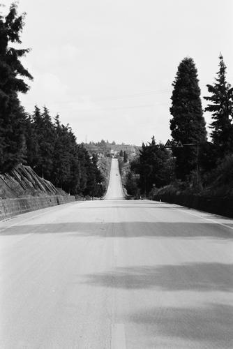 乡间公路