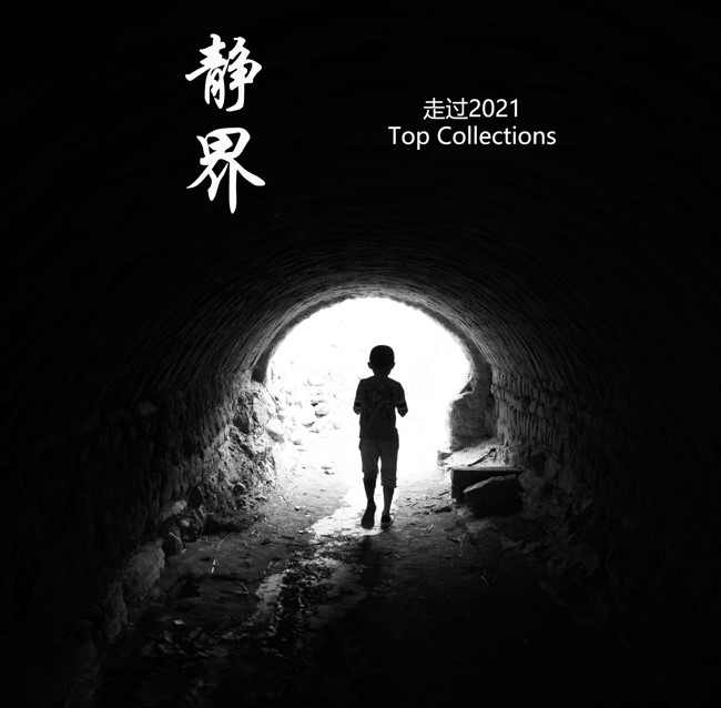 静界：走过2021