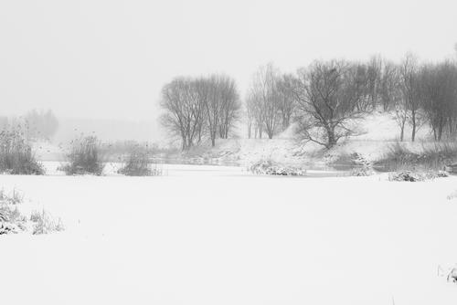 雪野