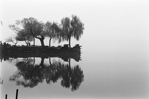 岸边树
