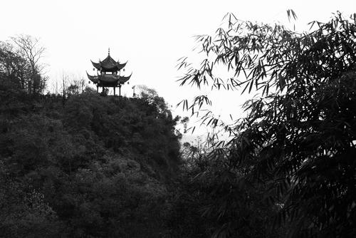 竹与亭