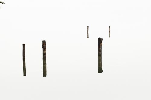 水桩--秋