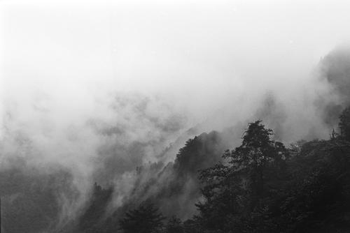 山中雾
