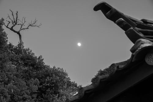 月升