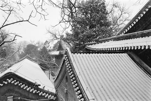 雪中大觉寺