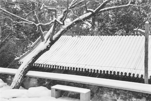 雪中大觉寺