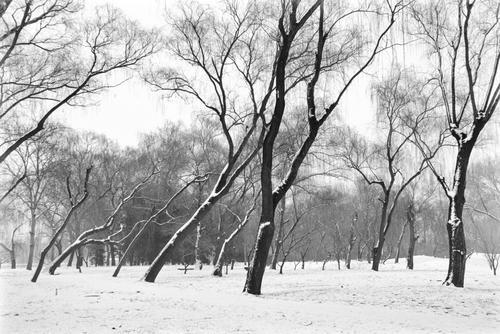 雪后颐和园
