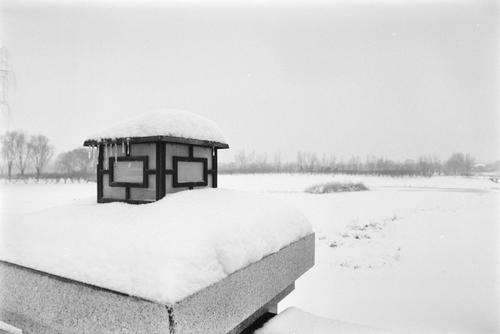 大雪覆盖的公园
