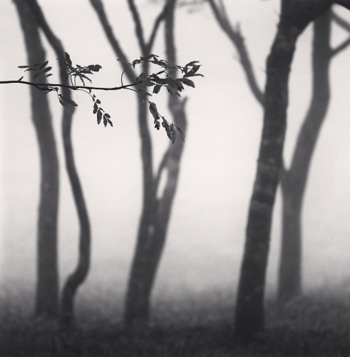 我个人比较喜欢的10幅作品：Michael Kenna