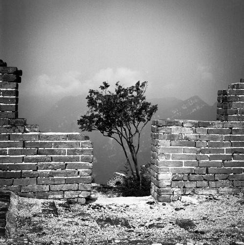 站在北京结