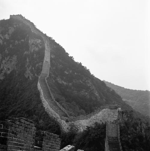 鹰飞倒仰