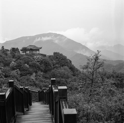 雨后西山