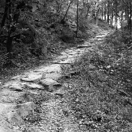 山间小路