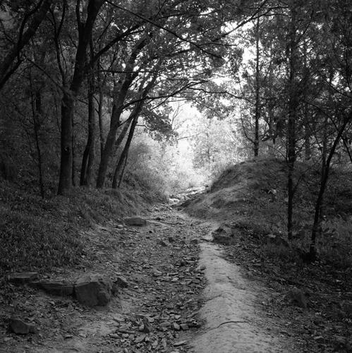 山间小路