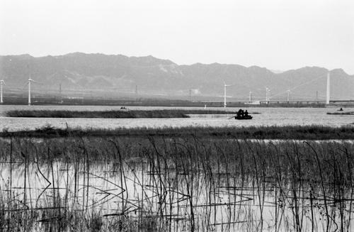 春日泛舟湖上