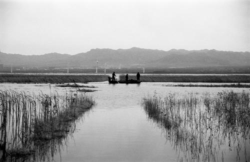 春日泛舟湖上
