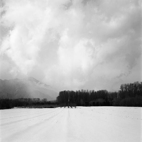 雪后田野