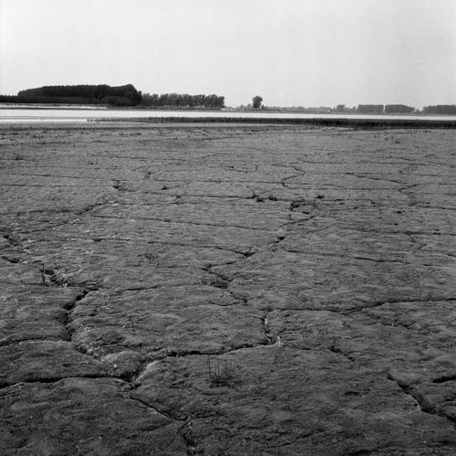 yellow river beach texture